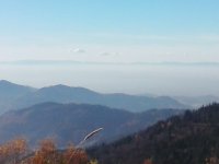 20151105_135208.jpg 20151105_135208.jpg