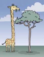 giraffe.jpg giraffe.jpg