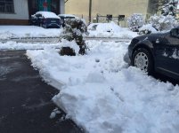 IMG_0005.jpg IMG_0005.jpg