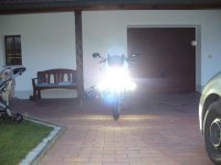 TGF + Nebel.JPG