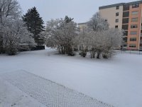 20230308_091425.jpg
