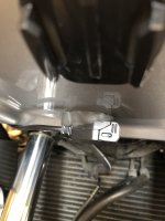 IMG_8389.jpeg