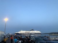 IMG_8847.jpeg