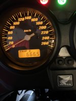 IMG_9401.jpeg