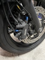 IMG_7187.jpeg