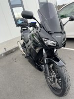 IMG_7318.jpeg