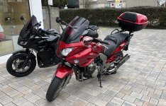 IMG_7350.jpeg