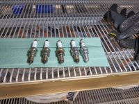 WhatsApp Image 2024-05-07 at 18.44.31.jpeg