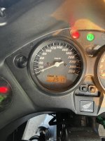 IMG_2452.jpeg