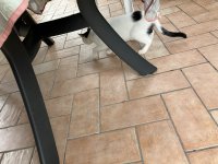 IMG_3479.jpeg
