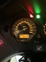 IMG_3524.jpeg