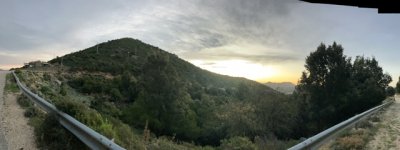 IMG_3541.jpeg