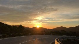 IMG_3552.jpeg