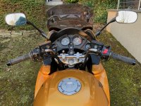 IMG_3900.jpeg
