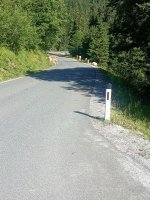 IMG_20250629_090301~2.jpg