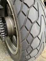 IMG_4022.jpeg