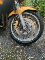 IMG_4084.jpeg