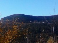 20151101_150154.jpg