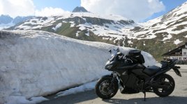 IMG_5811.jpg