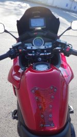 IMGP0338.jpg IMGP0338.jpg