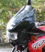 Yamaha_TDM850_redklein.jpg