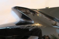 IMG_1292.jpg