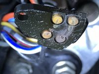 E3974217-6B47-429A-B0E4-497672ED3132.jpg E3974217-6B47-429A-B0E4-497672ED3132.jpg