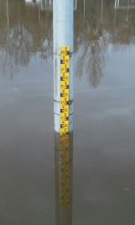 Oberrhein bei Karlsruhe (2).jpg