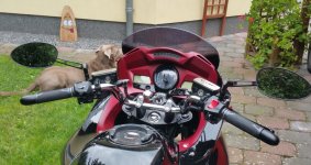 20170708_155547 (2).jpg