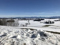 IMG_4844.jpg
