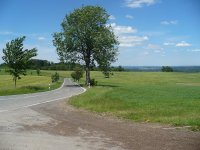 2019-06-02-Westerwald-1-P1050342.jpg
