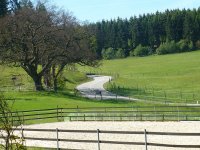 2019-06-02-Westerwald-1-P1050339.jpg
