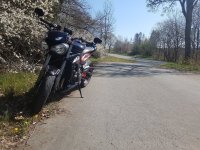 sauerland 12.04 (3).jpg