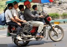 1000_LI.jpg 1000_LI.jpg