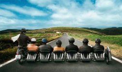 PHOTO-2020-05-04-16-49-28.jpg PHOTO-2020-05-04-16-49-28.jpg