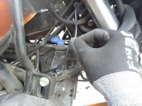 IMG_20200726_131951.jpg