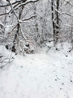 20210110_110259.jpg