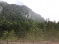 IMG-20220711-WA0004.jpg