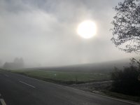 3BD132BF-439E-43E2-8E43-4F11072201F8.jpeg