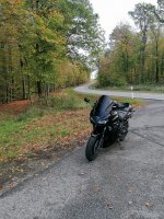 IMG_20221105_124117.jpg